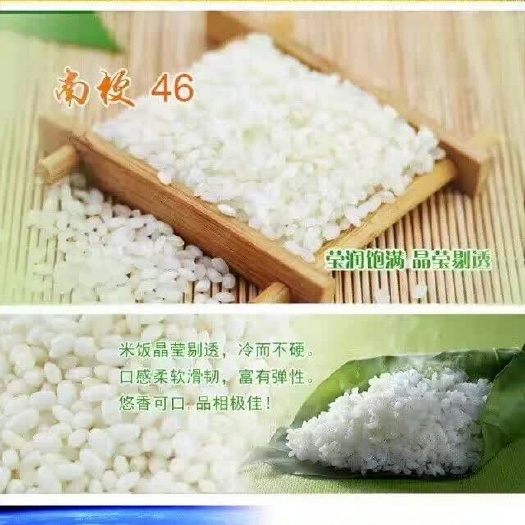张家港市南梗46号大米 绿色食品 晚稻 一等品 
