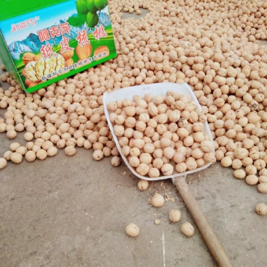洛南县 新疆薄皮核桃