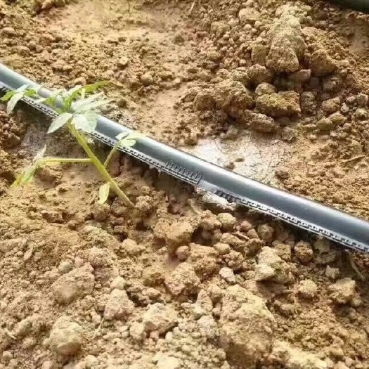 鄄城县滴灌带 