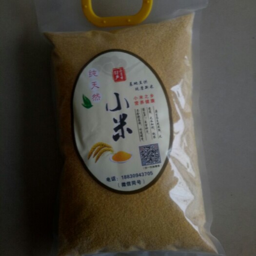 南宫市黄小米