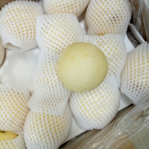 辛集市皇冠梨 75mm以上 400-450g