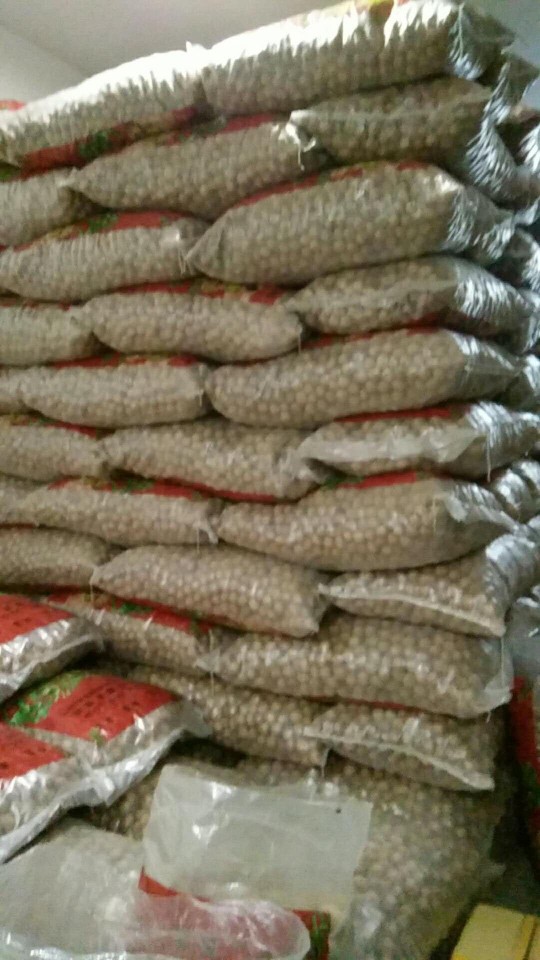  新疆核桃  阿克苏薄皮核桃