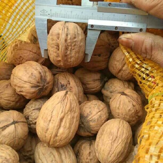 中宁县新疆185核桃