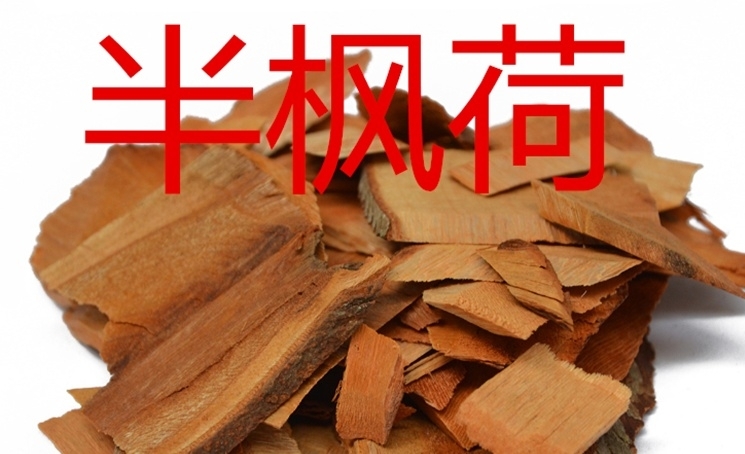 亳州半枫荷