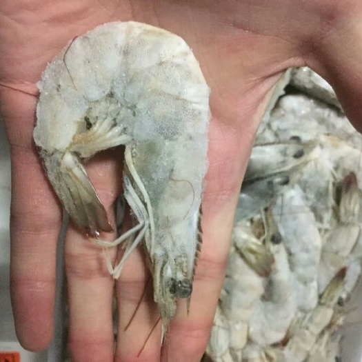 厄瓜多尔白虾 味道鲜嫩鲜活速冻尔瓜多尔大白虾5060规格吧4