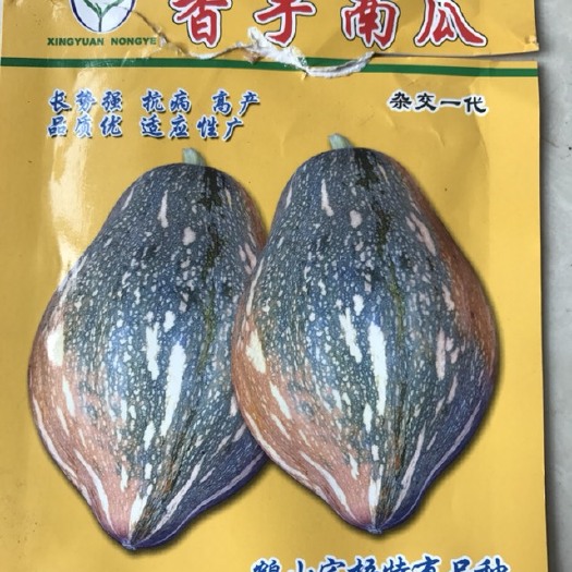 贵港香芋南瓜种子 85%