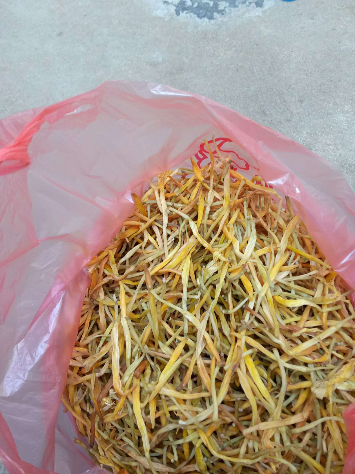 四月花 散装 一级 