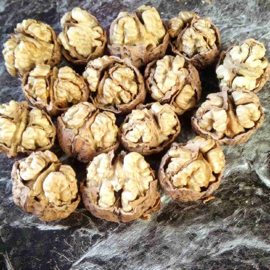 丽江大泡核桃 