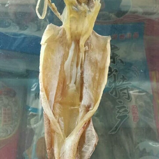 漳州闽南鱿鱼母