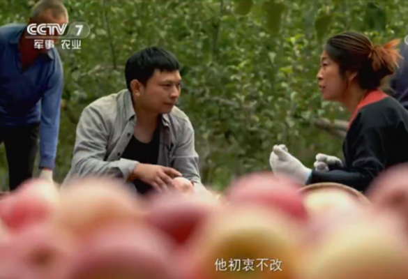 CCTV-7專題紀錄片《中國鄉村變遷記》播出 惠農網為鄉村振興注入長足發展動力
