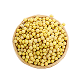 黄芽豆