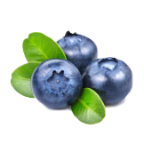 莱格西蓝莓