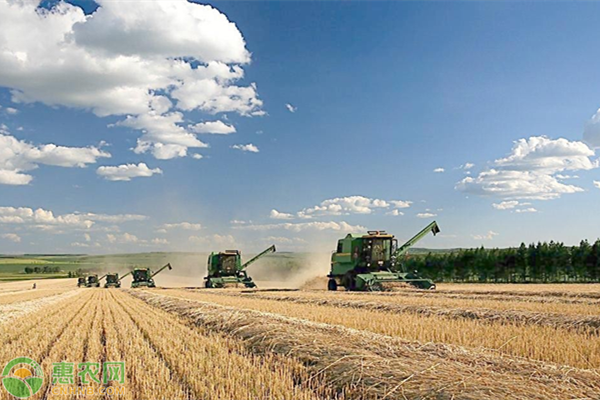 全年农垦生产总值超过8653亿元，农垦改革取得了质的飞越！