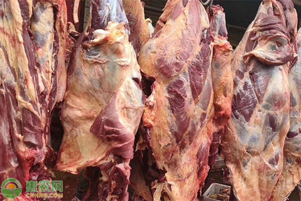 2020年春节羊肉价格行情预测，羊肉价格将会有所下跌