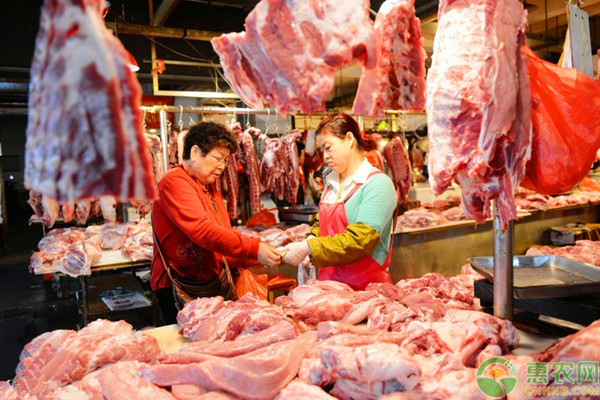 2020年春节期间全国猪肉价格行情走势分析