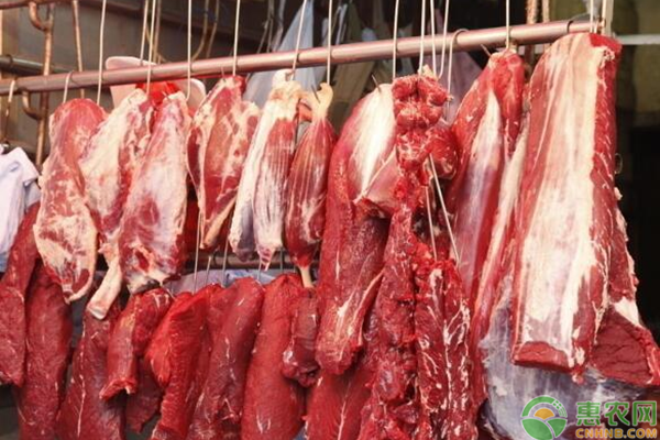 2020年春节期间全国猪肉价格行情走势分析