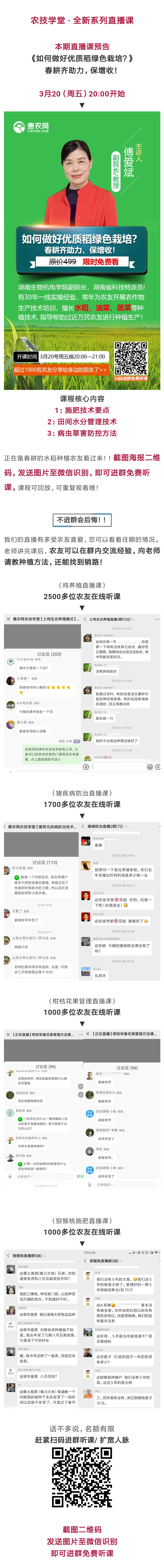 限時(shí)免費(fèi)看！如何做好優(yōu)質(zhì)水稻有機(jī)栽培？-圖片版權(quán)歸惠農(nóng)網(wǎng)所有
