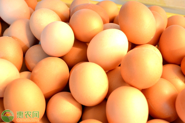美国鸡蛋涨价200%！美国鸡蛋价格上涨原因分析