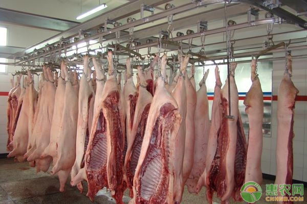 猪肉批发价连降11周,农村经济发展如何?