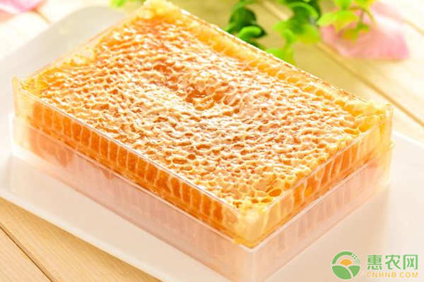 蜂胶是什么？有哪些功效与食用禁忌？