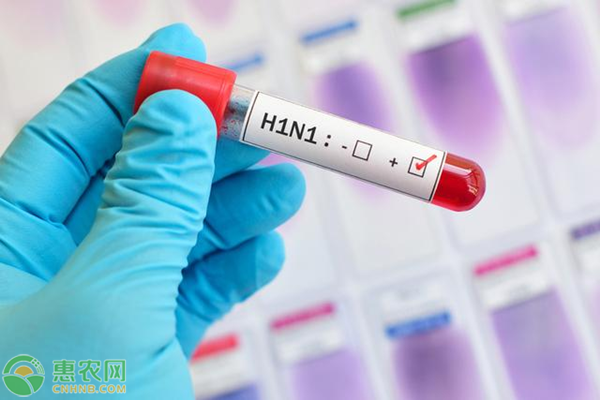 中国研究人员发现新型猪流感病毒，面对病毒如何正确对待？