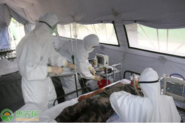 蒙古国发生鼠疫，这种流行病是如何实现大爆发的？