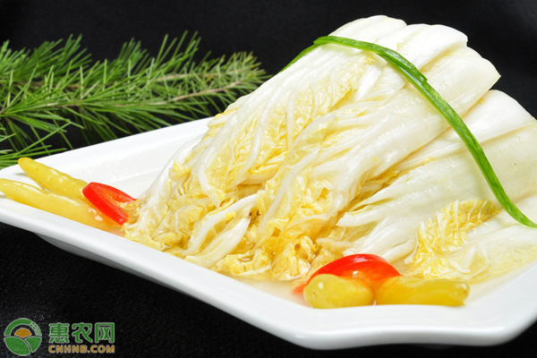 娃娃菜病蟲害綜合防治技術(shù)-圖片版權(quán)歸惠農(nóng)網(wǎng)所有