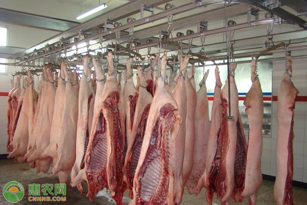 猪肉批发价格连续三周下降，猪肉价格为何不能高位运行？