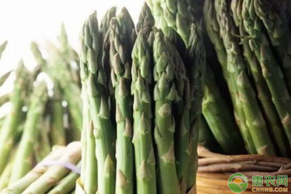 蘆筍怎樣種植？-圖片版權(quán)歸惠農(nóng)網(wǎng)所有