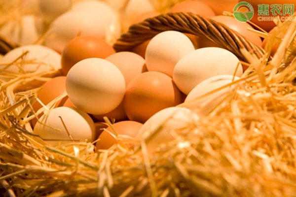 2021年春节鸡蛋价格行情如何？鸡蛋后期走势分析