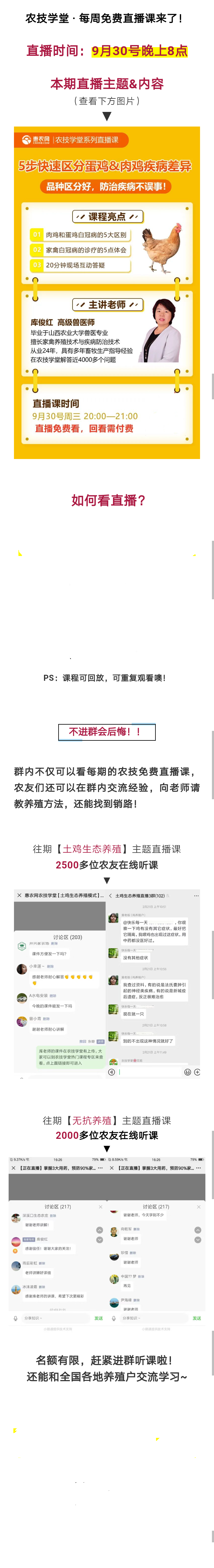 5步快速區(qū)分蛋雞&肉雞疾病差異，品種區(qū)分好，防治疾病不誤事！-圖片版權(quán)歸惠農(nóng)網(wǎng)所有