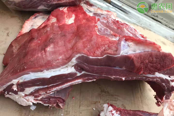 2021羊肉价格多少钱一斤？羊肉价格为何上涨？