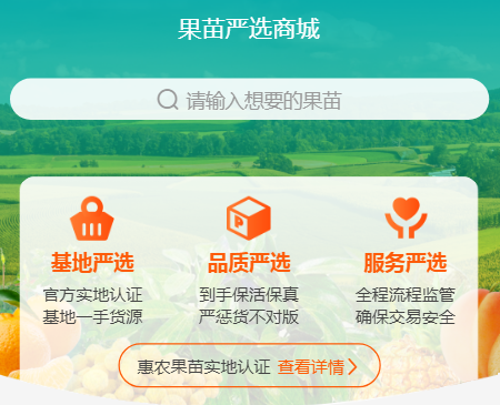 桃樹苗種植步驟和方法-圖片版權(quán)歸惠農(nóng)網(wǎng)所有