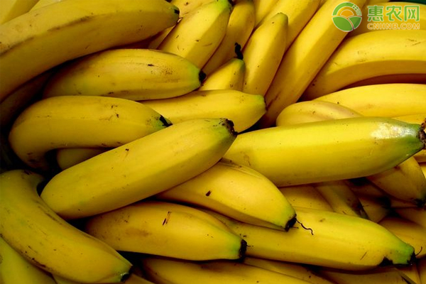 香蕉产地在哪里？好吃的香蕉品种有哪些？