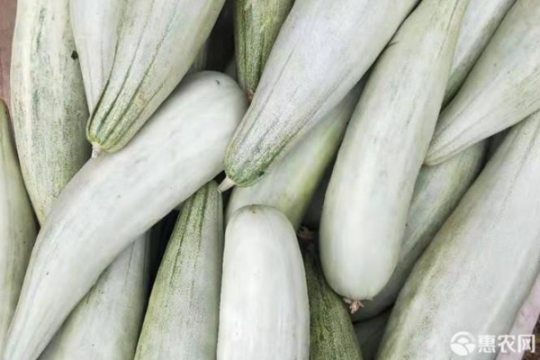 羊角蜜甜瓜多少钱一斤?