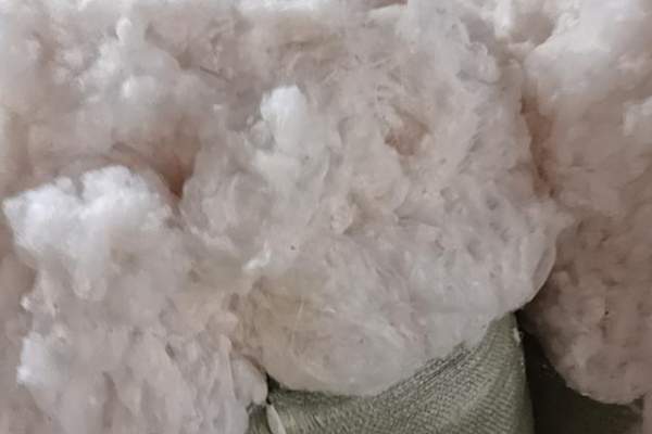 现在棉花收购价格多少钱一斤？