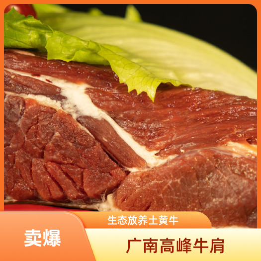 广南县云南文山国产原切雪花牛肉 瘦多肥少去骨预包装冻肉