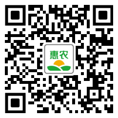 乌叶乌叶荔枝