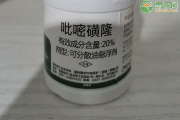 吡嘧磺隆使用禁忌-圖片版權(quán)歸惠農(nóng)網(wǎng)所有