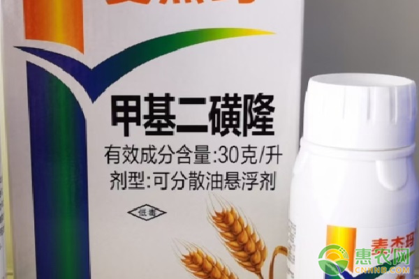 甲基二磺隆除草劑注意事項-圖片版權(quán)歸惠農(nóng)網(wǎng)所有