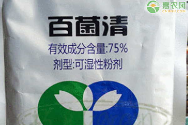 百菌清殺菌劑治什么病？-圖片版權(quán)歸惠農(nóng)網(wǎng)所有