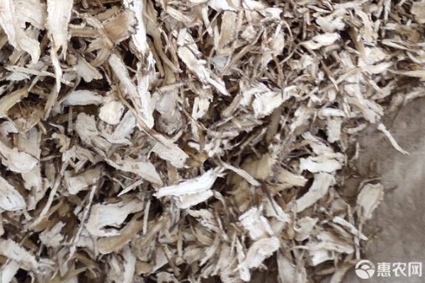 當歸種植幾年可以收獲？-圖片版權歸惠農網(wǎng)所有