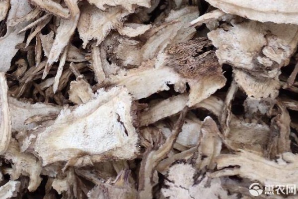 當歸種植幾年可以收獲？-圖片版權歸惠農網(wǎng)所有