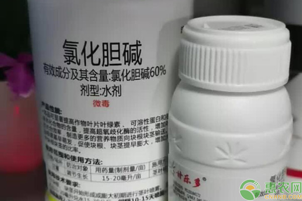 氯化膽堿植物生長調節(jié)劑的使用方法-圖片版權歸惠農網所有