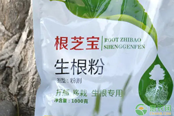 植物生根剂的使用方法-图片版权归惠农网所有