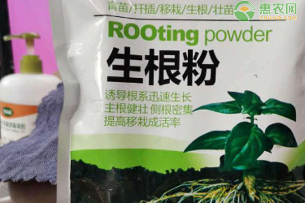 植物生根剂的使用方法-图片版权归惠农网所有