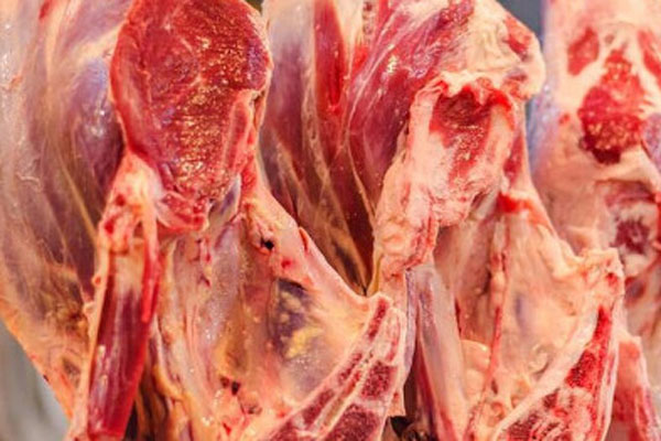 羊肉多少钱一斤2024最新价格？
