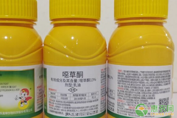 惡草酮除草劑殺什么草？-圖片版權(quán)歸惠農(nóng)網(wǎng)所有