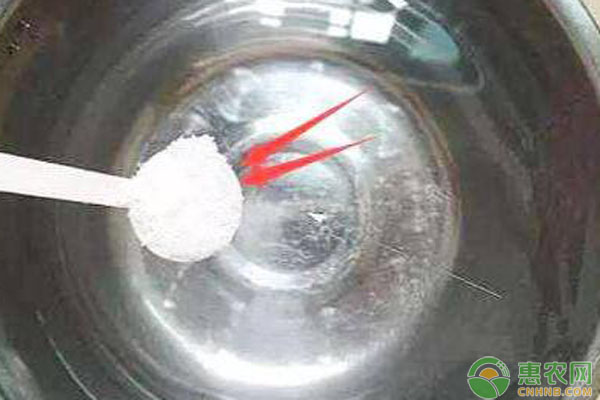 自制蔬菜殺蟲劑配方-圖片版權(quán)歸惠農(nóng)網(wǎng)所有