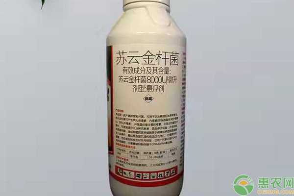 蘇云金桿菌的使用事項-圖片版權歸惠農網(wǎng)所有